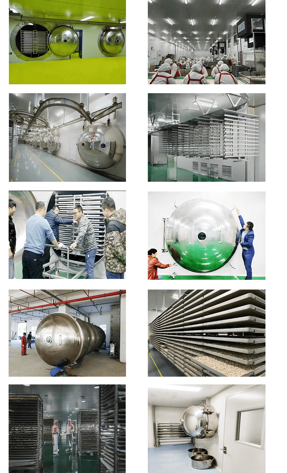 product-1000-1650 Freeze drying project cases