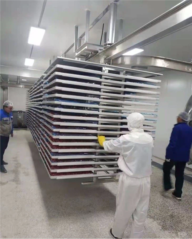 Customized Pharmaceutical freeze dryer