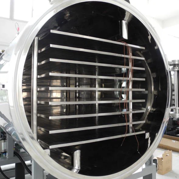  Vacuum Food Freeze Dryer manufacturers