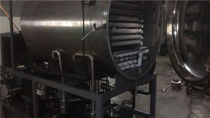 Ξηραντήριο παγωτού Vacuum Aerospace