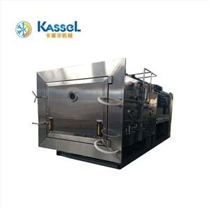 Large Freeze dryer Blueberry